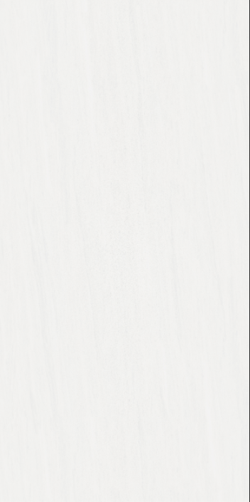 Fossilized Wood Ivory 